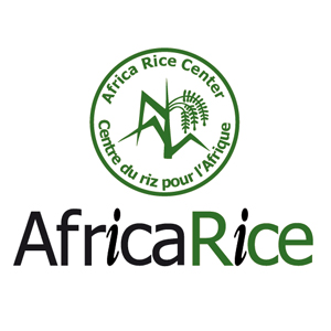 AfricaRice : Improving Food Security Information in Africa