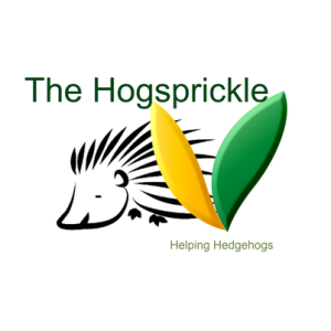 News from the Hedge with Bev Truss