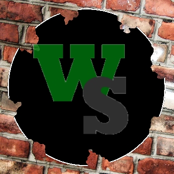 TheWallSlug's Gaming Podcast #1: With TheImmenseFence