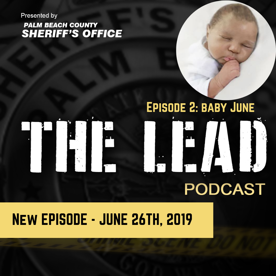 The Lead