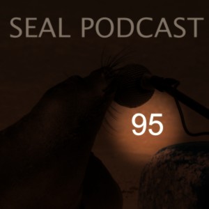 Episode 95 - Glass Sealing