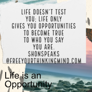 Life is an Opportunity