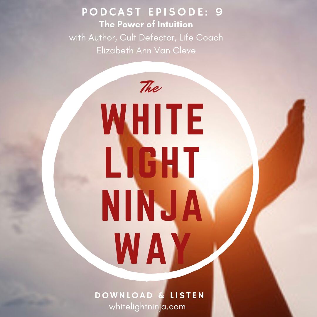 Episode 9-The Power of Intuition With Elizabeth Van Cleve