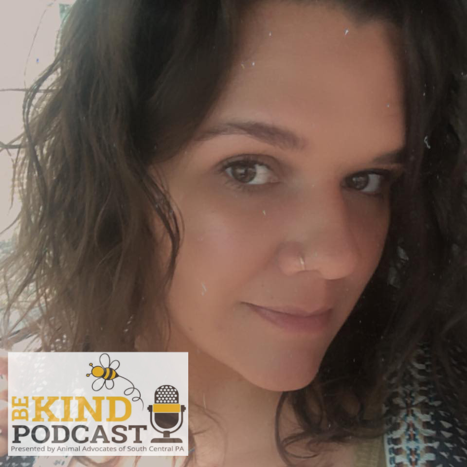 The Be Kind Podcast
