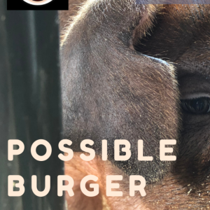 Possible Burger by Special When Lit