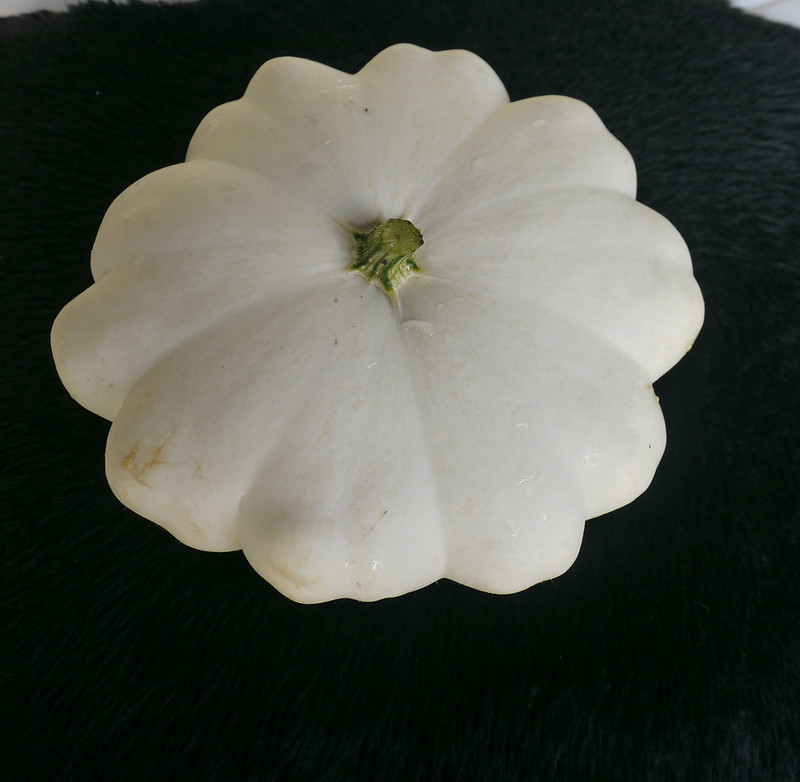 Seed Stories