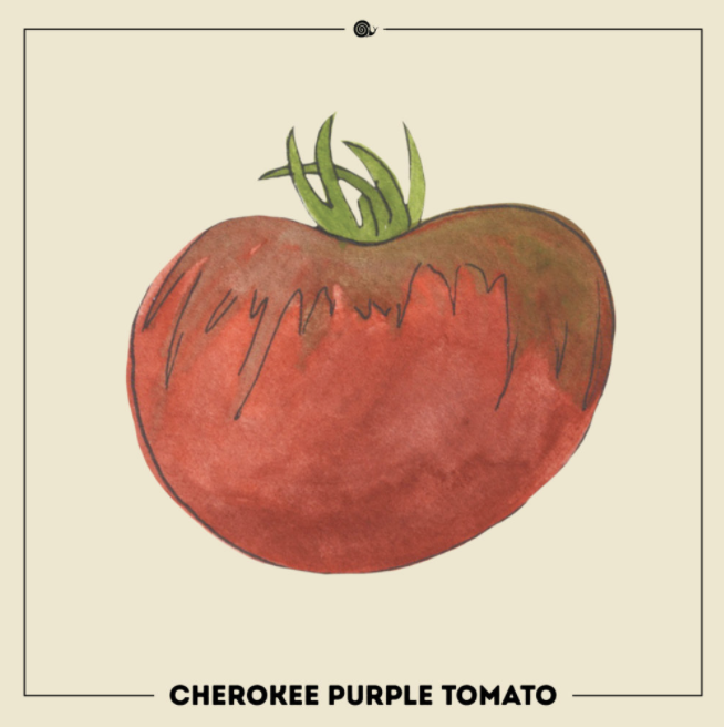Seed Stories