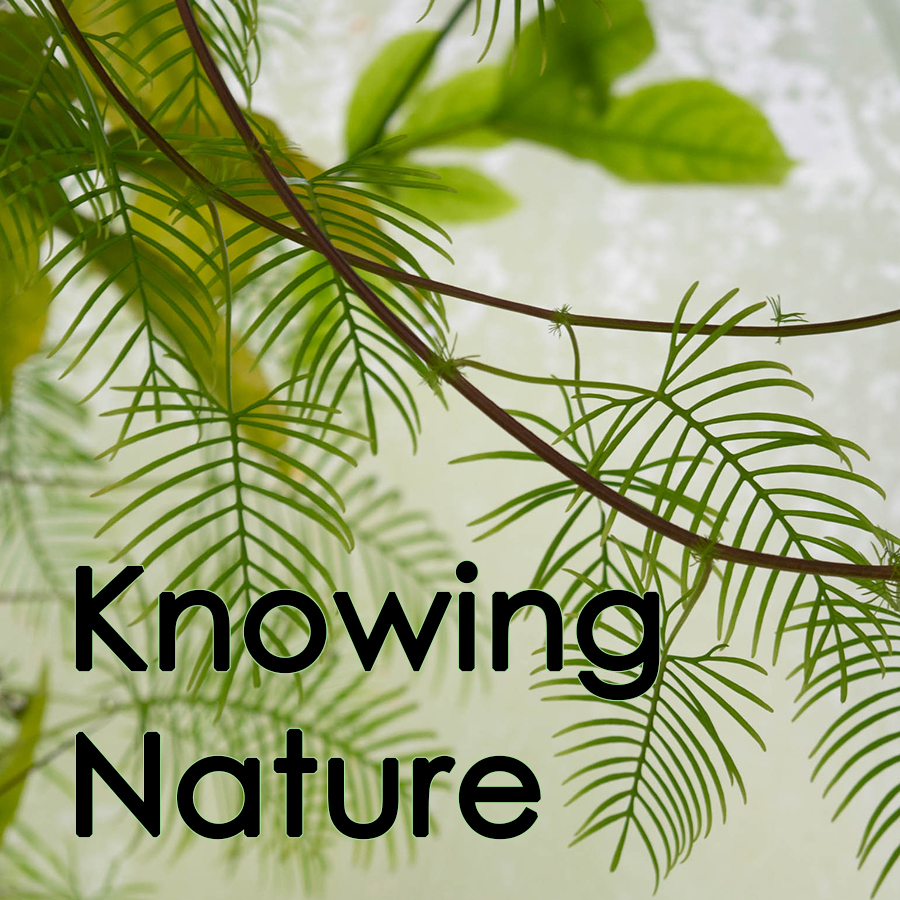 Knowing Nature
