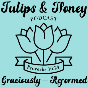 Tulips & Honey: Episode 69 - Who & What I Recommend + What I Don't