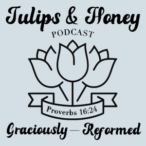 Tulips & Honey: Episode 54 - Women's Ministry with Erin Coates