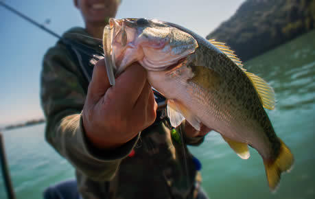 The Sporting Shoppe\'s Podcast