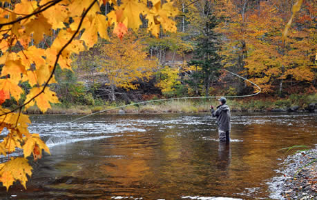 The Sporting Shoppe\'s Podcast