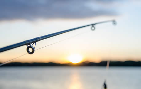 The Sporting Shoppe\'s Podcast