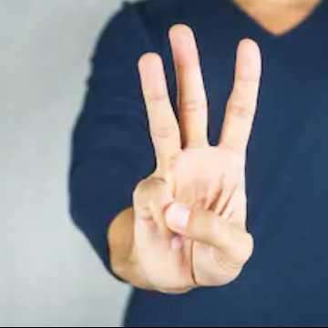 แมลงสาบตัวที่ 3 แมลงสาบตัวที่ 3