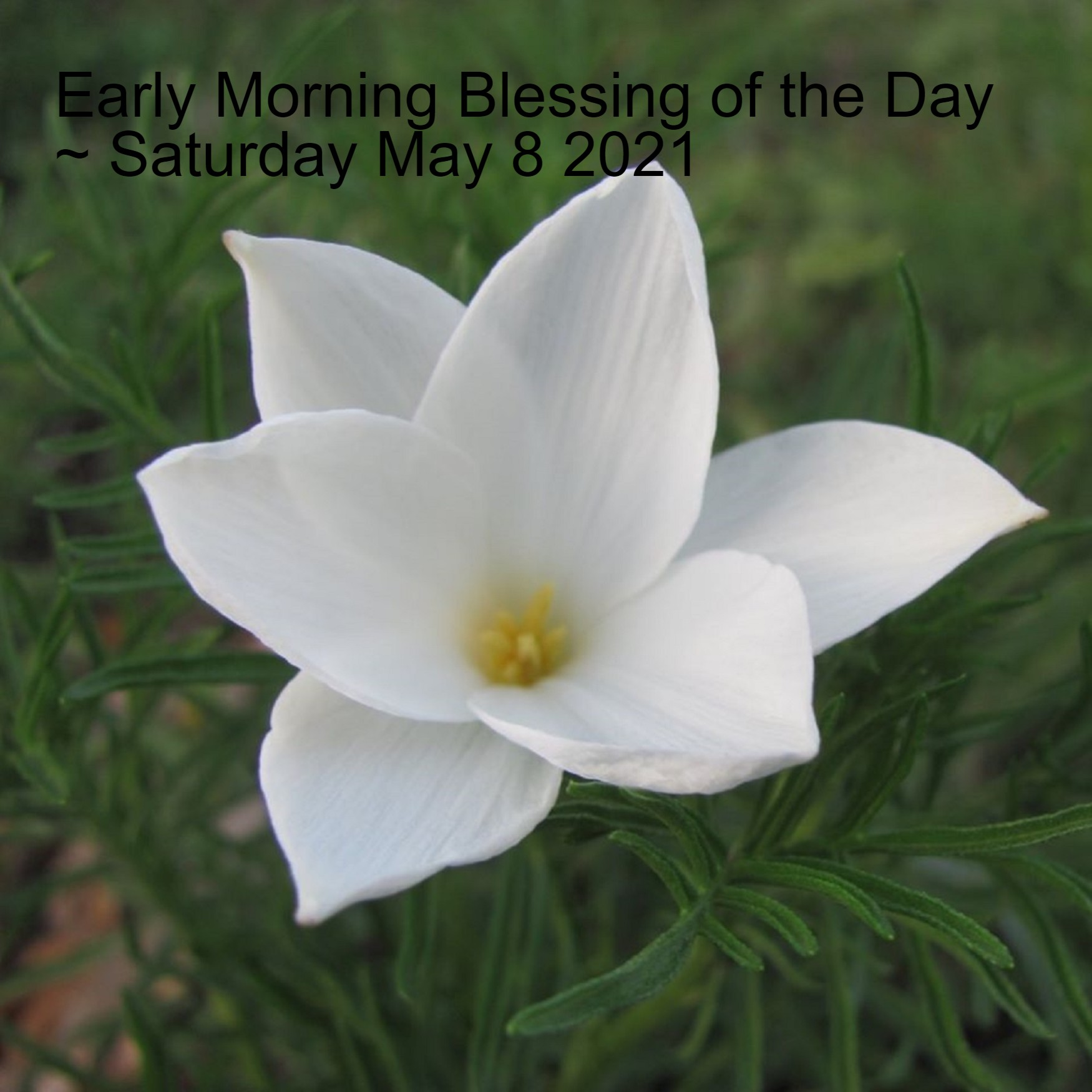 The Mary Christopher Podcast