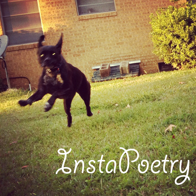 InstaPoetry #2