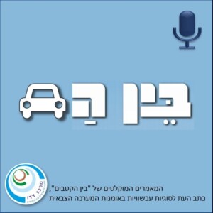 ’רוח המפקד’ - סקירת ספרו של אלוף (מיל’) עמוס ירון’