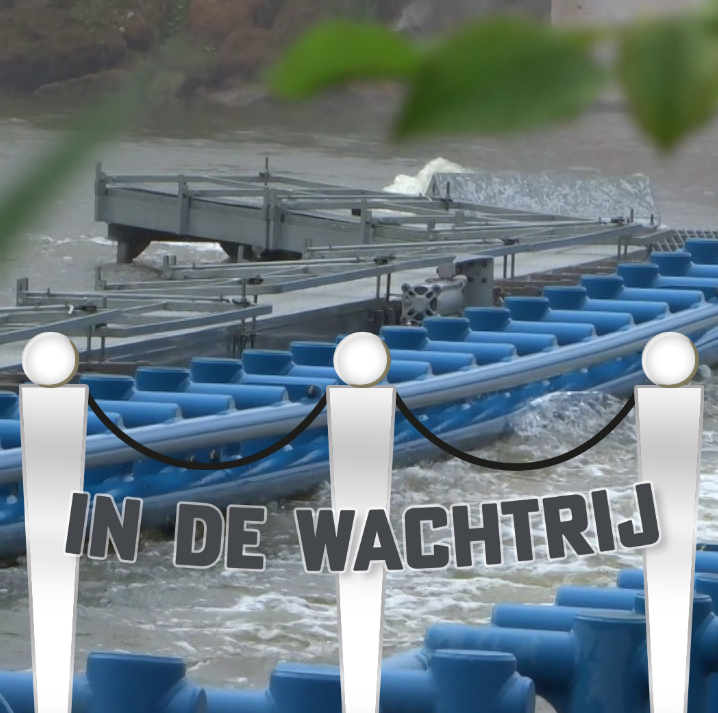 In de wachtrij