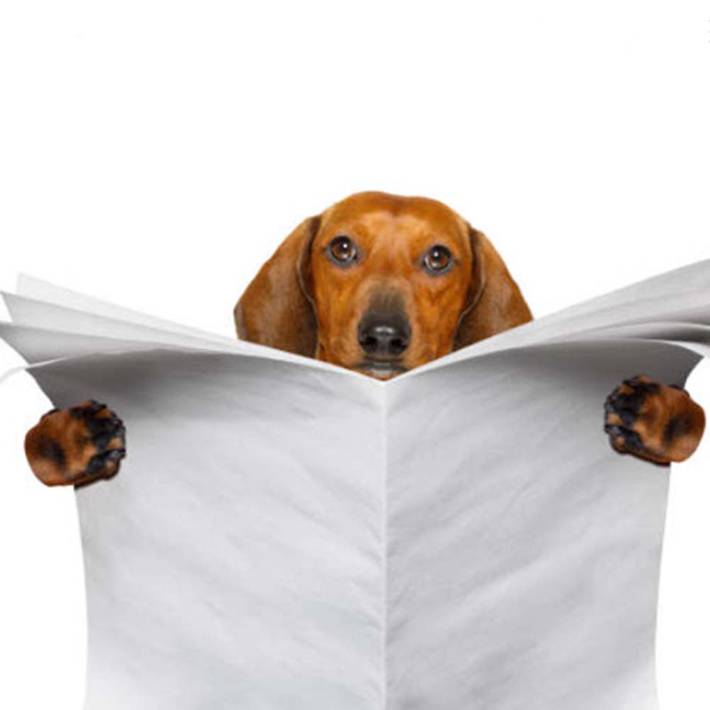News Hound