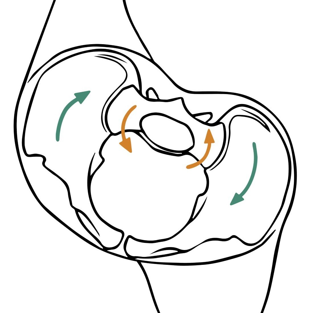 Ilium Rotation Sacroiliac Joints: The Next Level (with Til Luchau & Whitney Lowe)