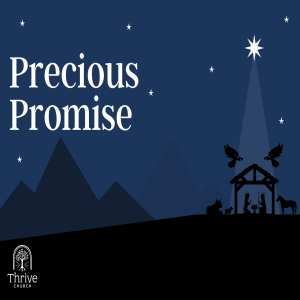 Precious Promise - Week 1 - Who