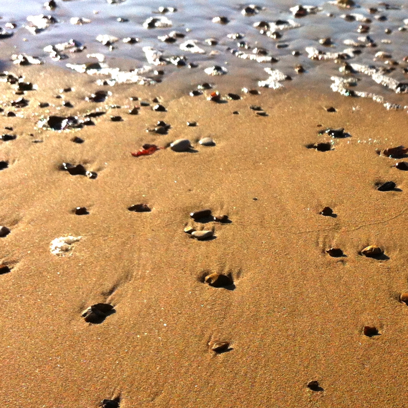 Peaceful ocean sounds with chirping birds