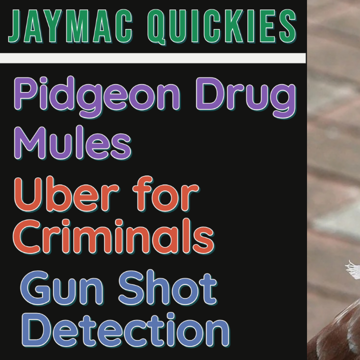 The JayMac Podcast