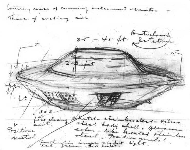 Episode 99 - The Falcon Lake Incident