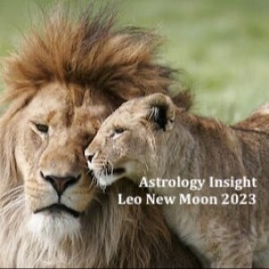 Astrology Insight: Leo New Moon 2023