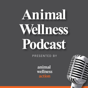 Priscilla Presley on Horses, Elvis and Animal Advocacy--Episode 14