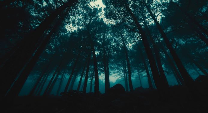 Heeere’s NeeNee! Horror Movie Podcast