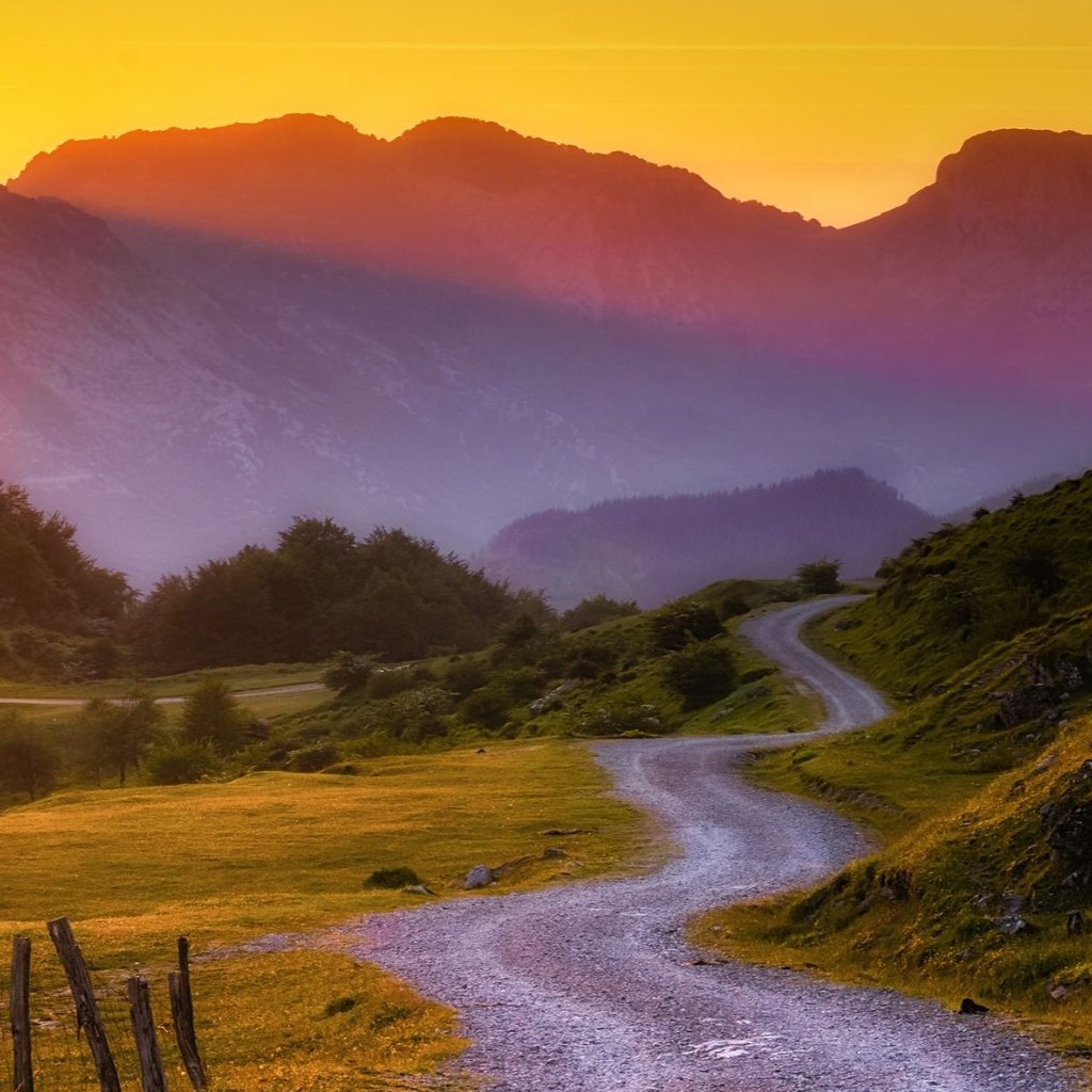 The Path of Humility: Psalms 24-26