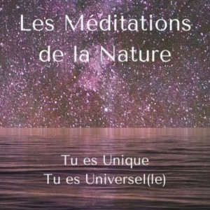 68. Méditation: Tu es Unique et Universel(le) - Méditation de la Nature #4