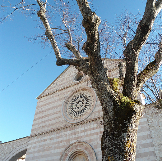 All Souls What the Church teaches about praying for the Dead