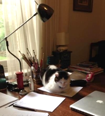 Bens Katze - Recorded by Carolina Seez Bens Katze - Recorded by Carolina Seez