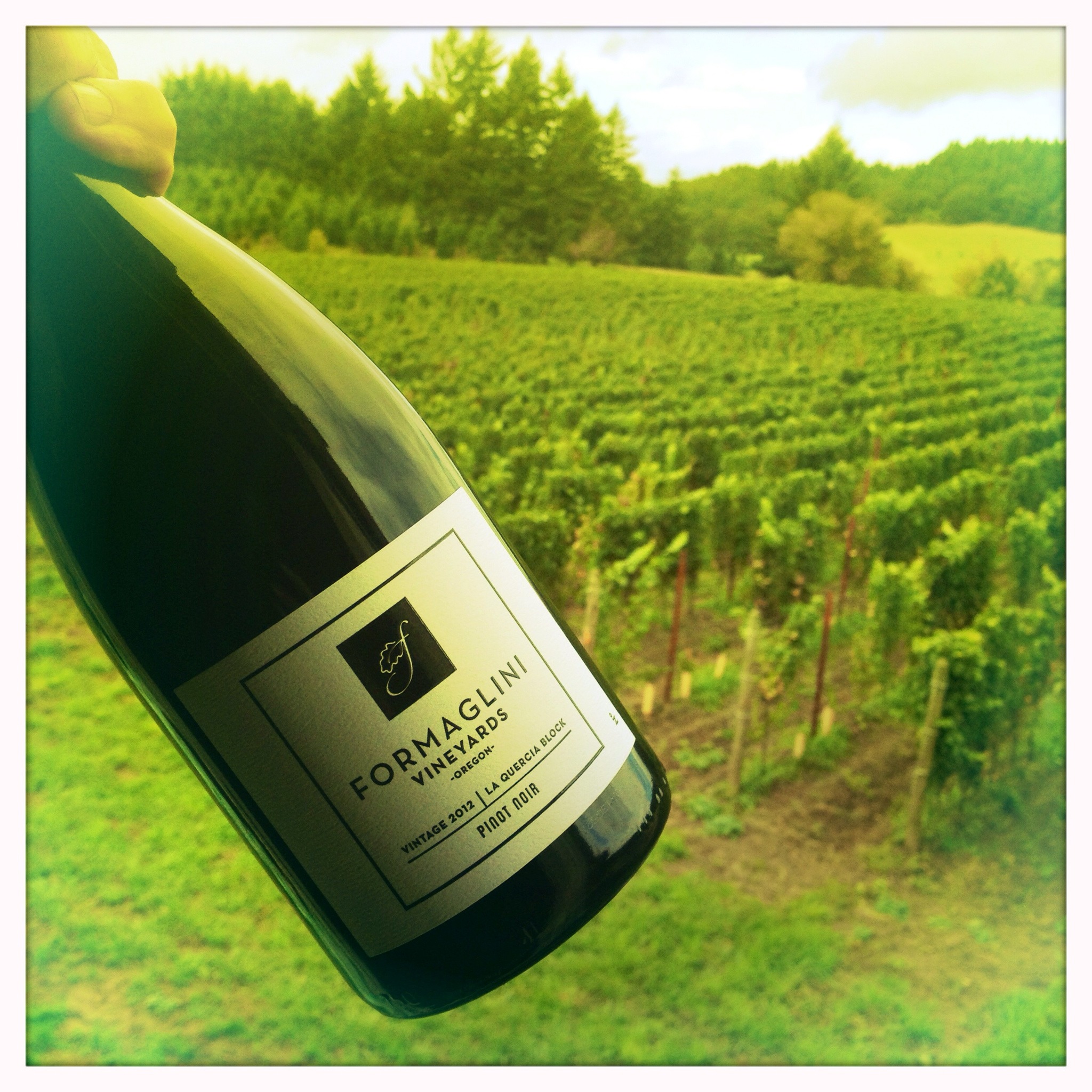 Episode 4 - Winegrower - David de Lancellotti