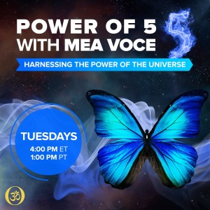 The Launch of The Power of 5 with Mea Voce