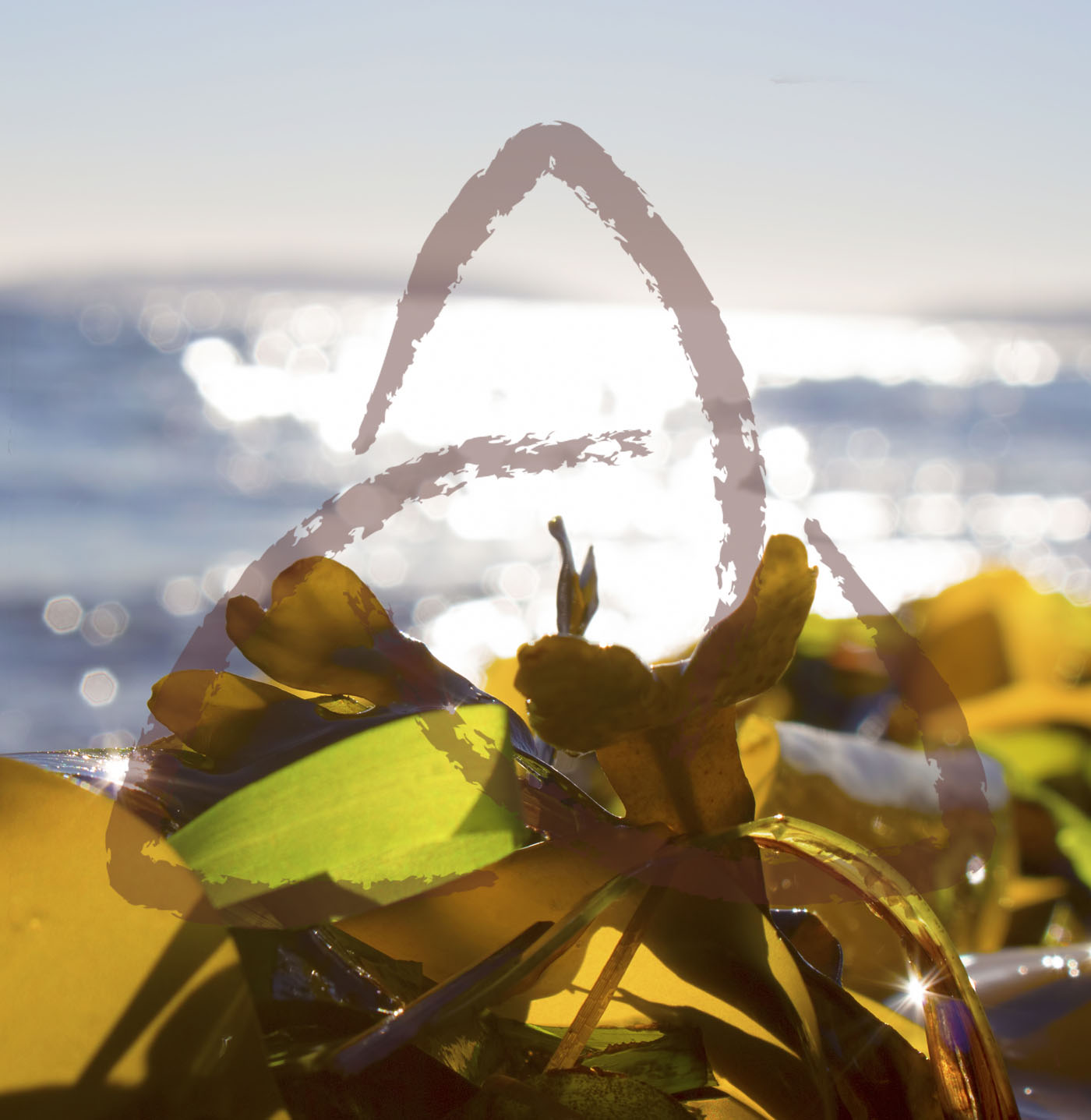 1 Thessalonians 3:6-13