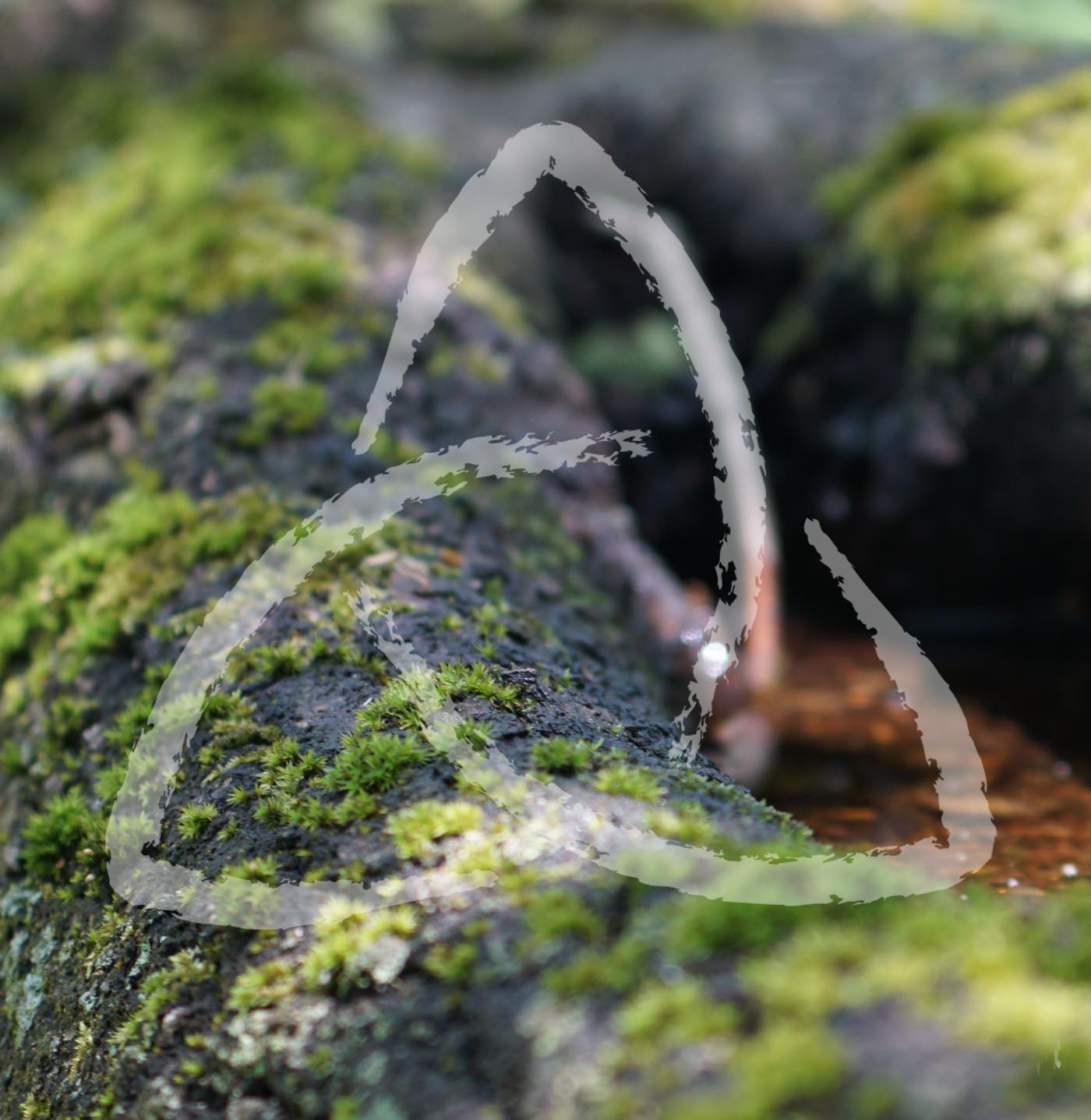 2 Thessalonians 1:11-12