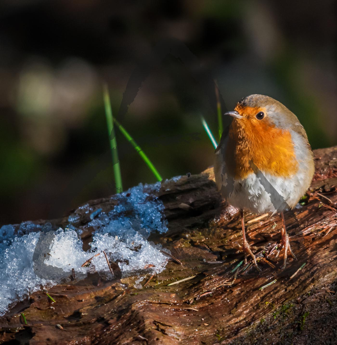 2 Thessalonians 2 1-2