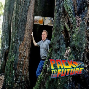 Episode 117: A Card Shop Adventure, Hobby News, and a Card Show