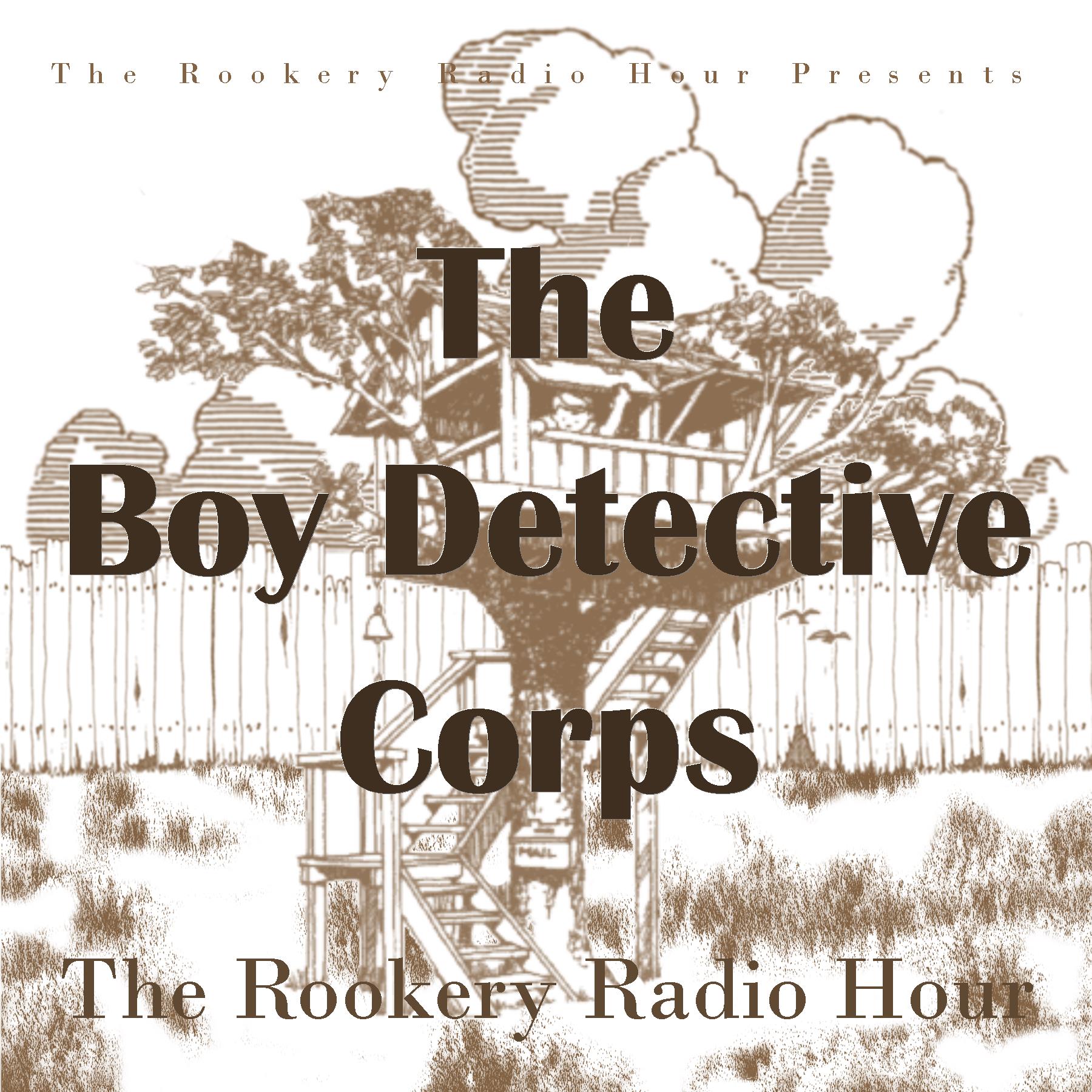 The Boy Detective Corps in The Case of the Missing Brother