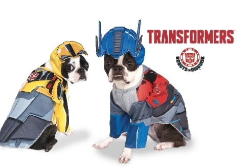 Australian Transformers Weekly