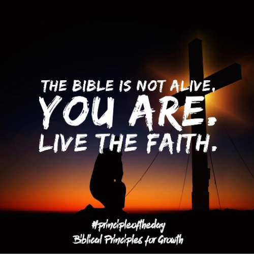 #principleoftheday: Matthew 6:25-34