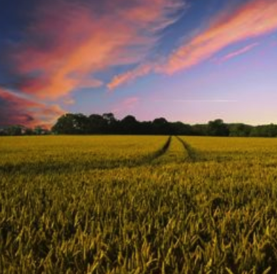 CCL Agriculture Series: Connecting with Farmers on Climate (Audio)