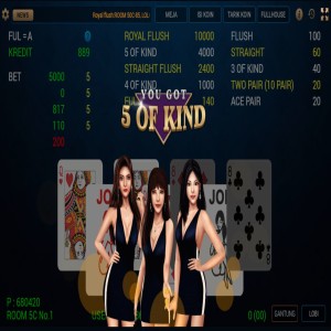 Real Cash Money Online Computer Video Poker Games