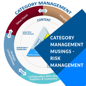 Category Management Musings - Risk Management