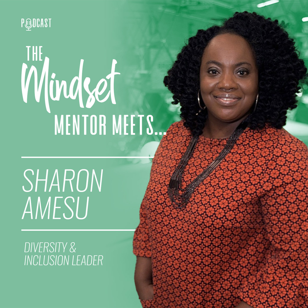 The Mindset Mentor Meets