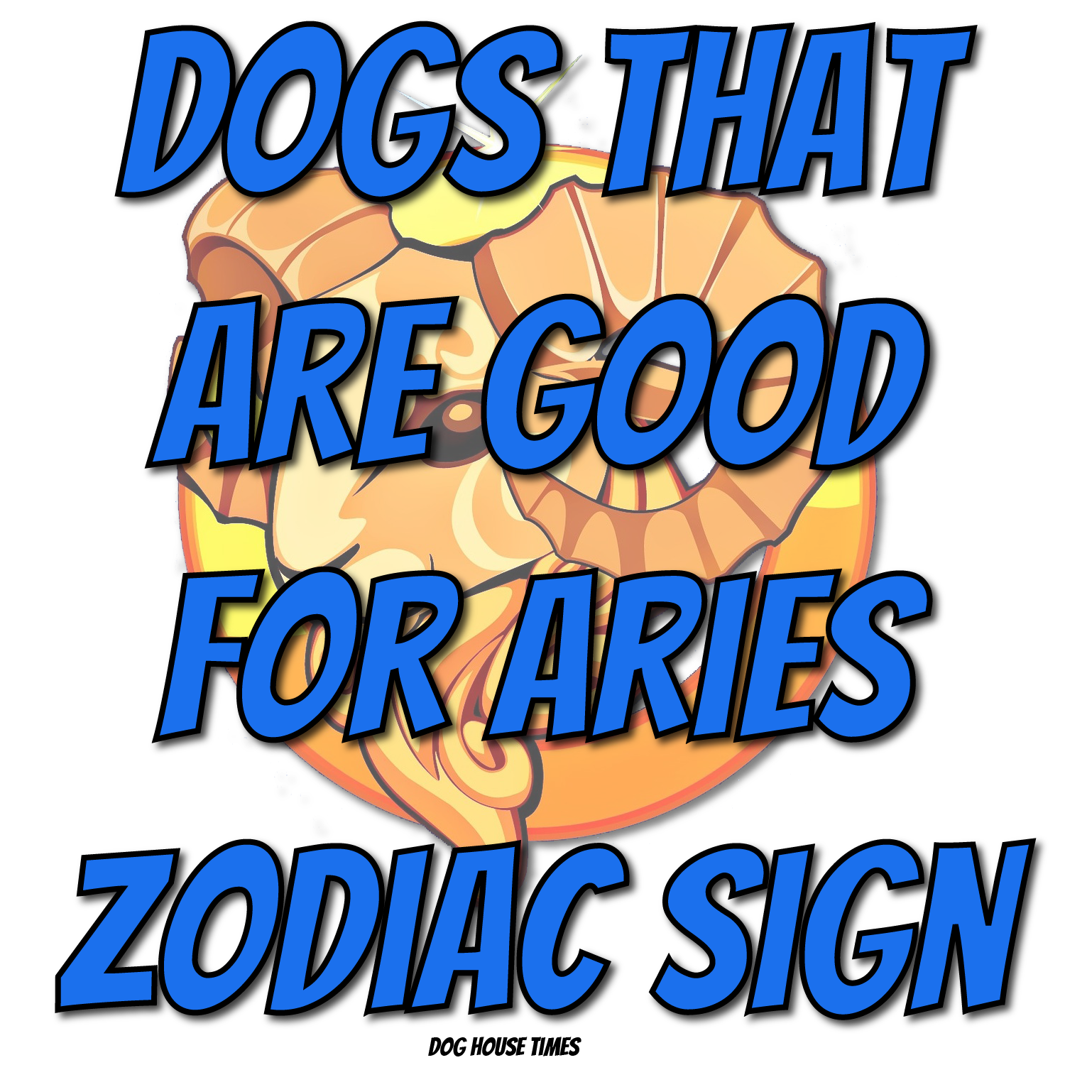 Dogs That Are Good For The Aries Zodiac Sign