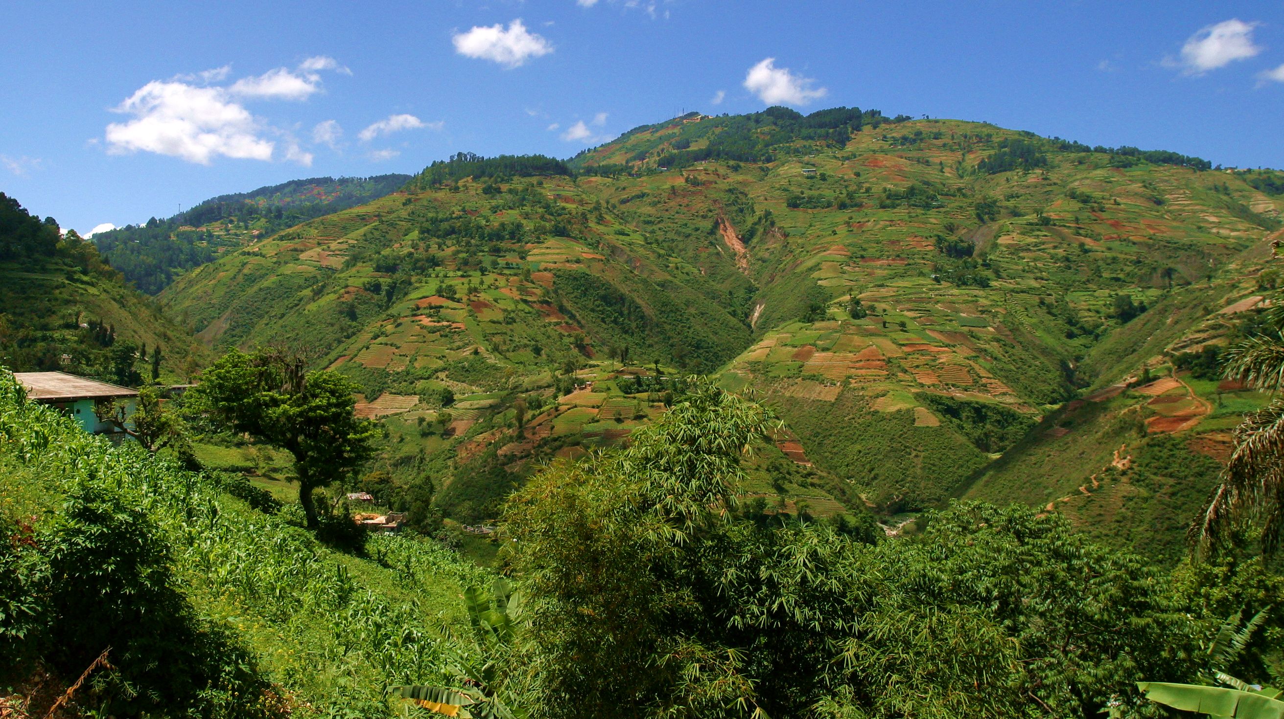 A Love Letter to Haiti with Rosalind Cummings-Yeates